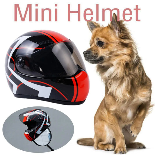 Casco di Sicurezza per Cani e Gatti Pawli™ – Protezione e Stile durante i Viaggi