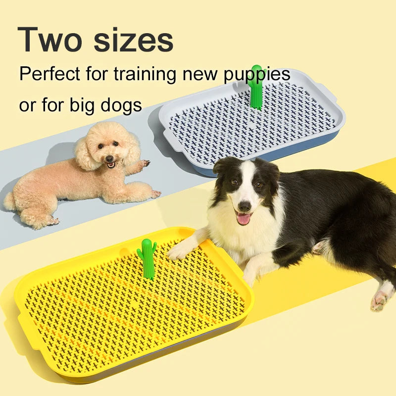 Toilette Igienica Pawli™ – Vassoio Anti-Goccia per l’Addestramento del Cane