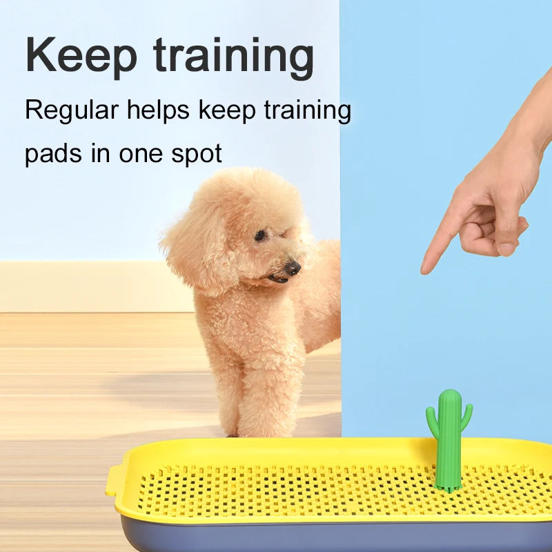 Toilette Igienica Pawli™ – Vassoio Anti-Goccia per l’Addestramento del Cane