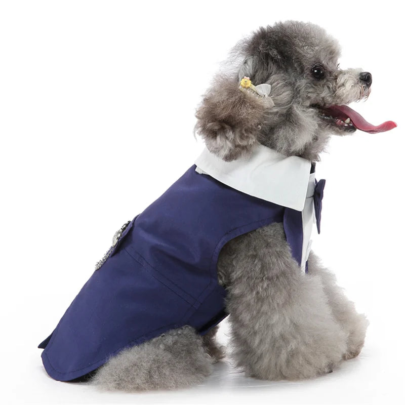 Completo Elegante Pawli™ – Smoking con Papillon per Cani