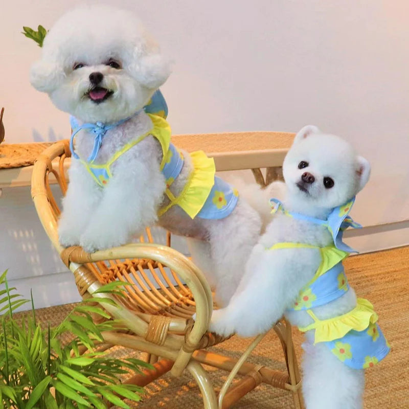 Completo Estivo Pawli™ – Outfit con Cappellino per Cani alla Moda