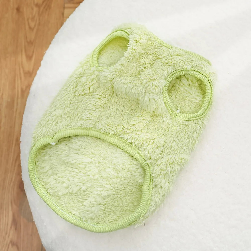 Maglioncino Invernale Pawli™ – Caldo, Morbido e Adorabile per Cani di Piccola Taglia