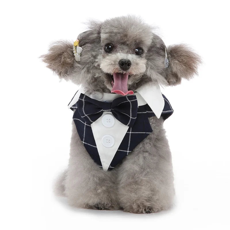 Completo Elegante Pawli™ – Smoking con Papillon per Cani