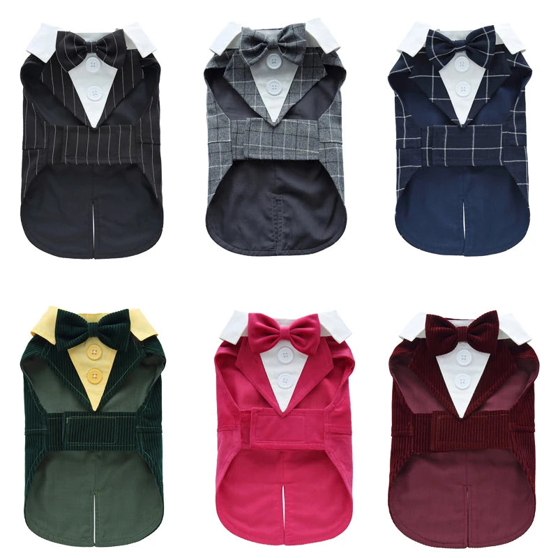 Completo Elegante Pawli™ – Smoking con Papillon per Cani