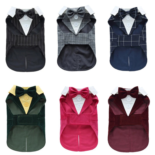 Completo Elegante Pawli™ – Smoking con Papillon per Cani