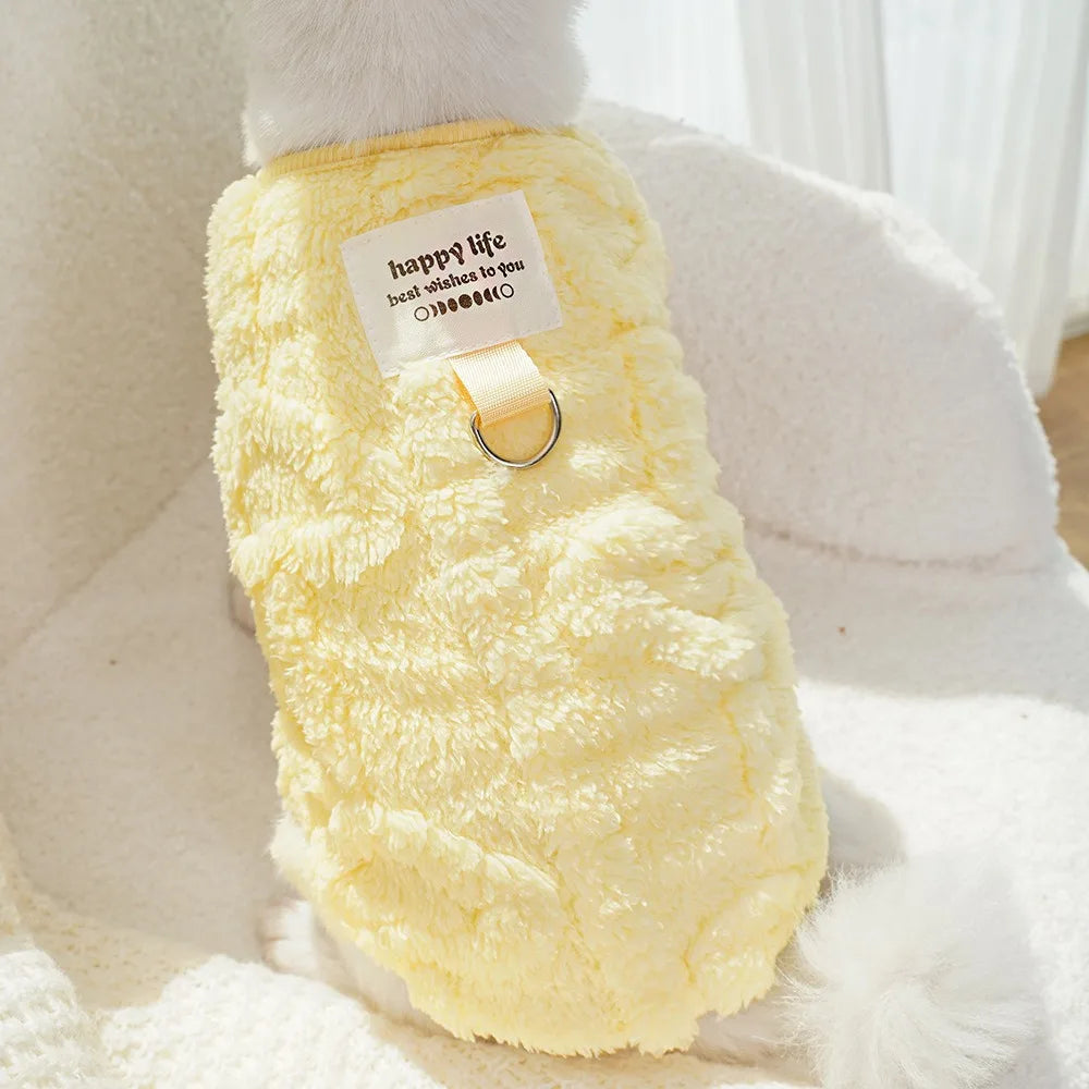 Maglioncino Invernale Pawli™ – Caldo, Morbido e Adorabile per Cani di Piccola Taglia