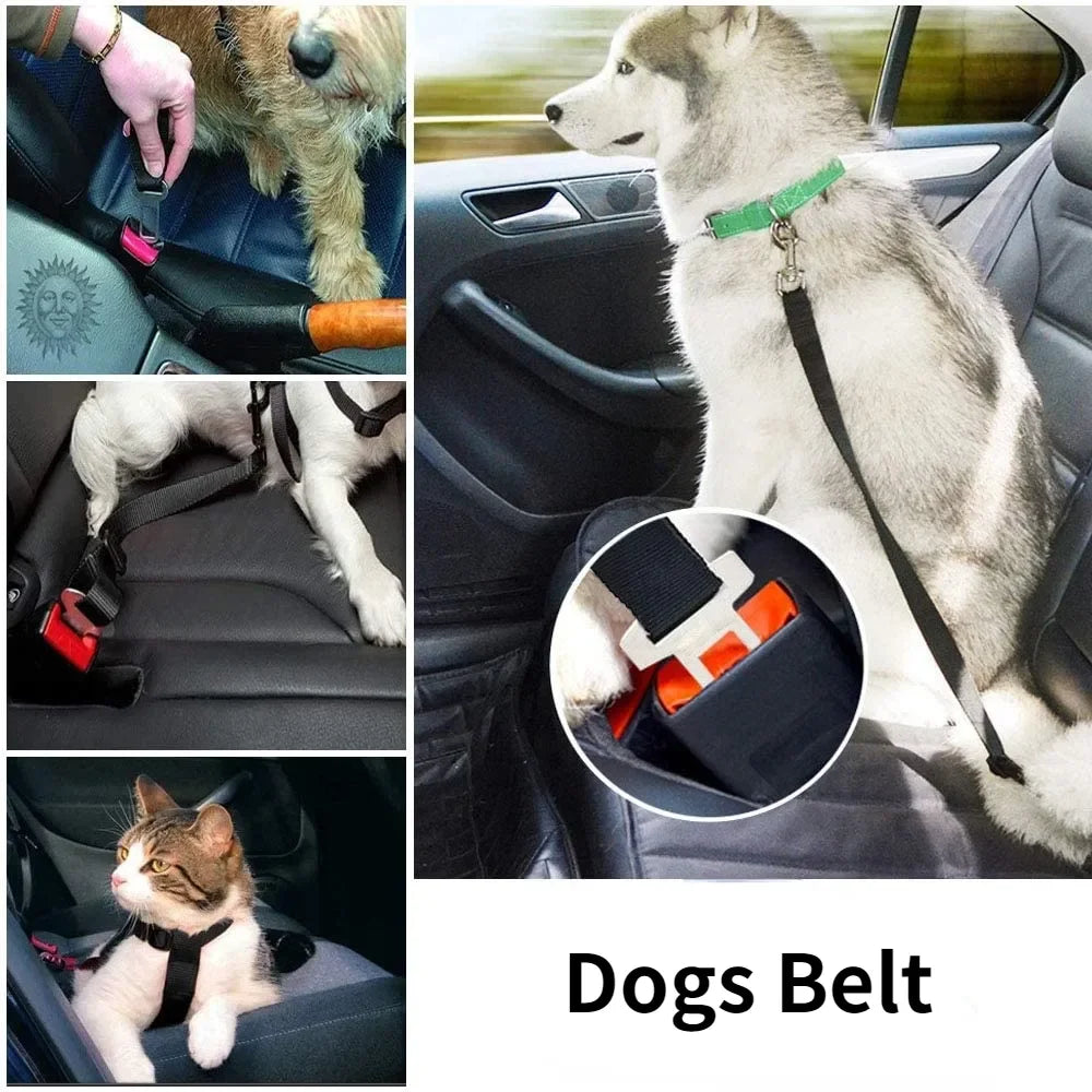 Cintura di Sicurezza Auto Pawli™ – Protezione per Cani e Gatti durante i Viaggi
