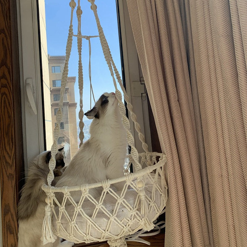 Amaca Sospesa Pawli™ in Corda Intrecciata – Nido Elegante per Gatti