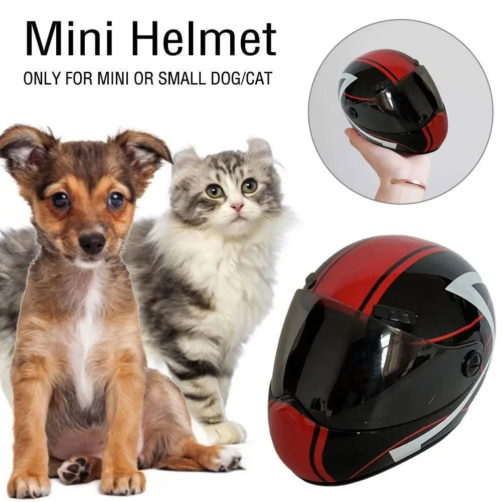 Casco di Sicurezza per Cani e Gatti Pawli™ – Protezione e Stile durante i Viaggi