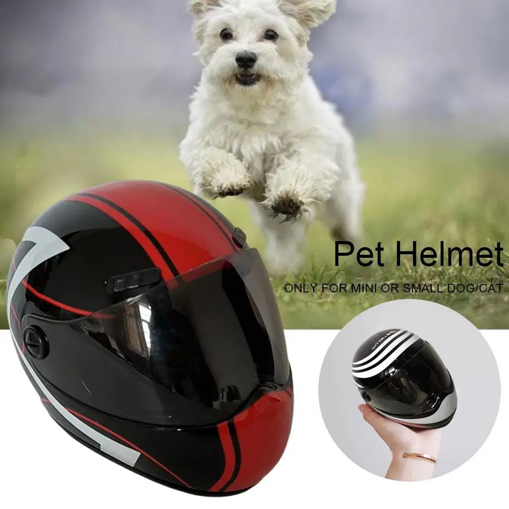 Casco di Sicurezza per Cani e Gatti Pawli™ – Protezione e Stile durante i Viaggi