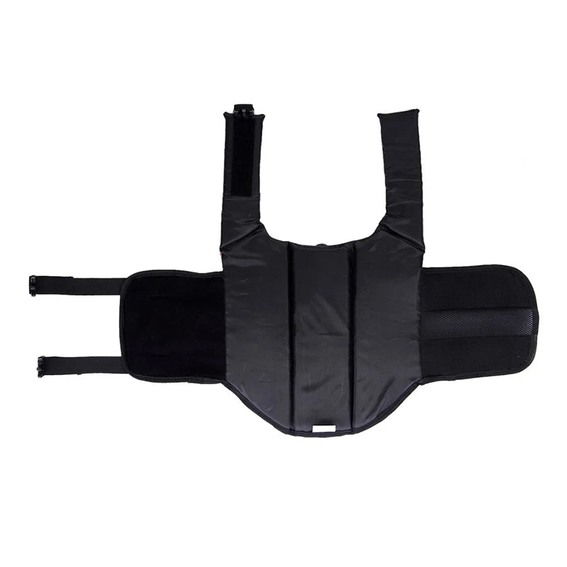 Summer Dog Life Jacket – Giubbotto Salvagente Estivo per Cani