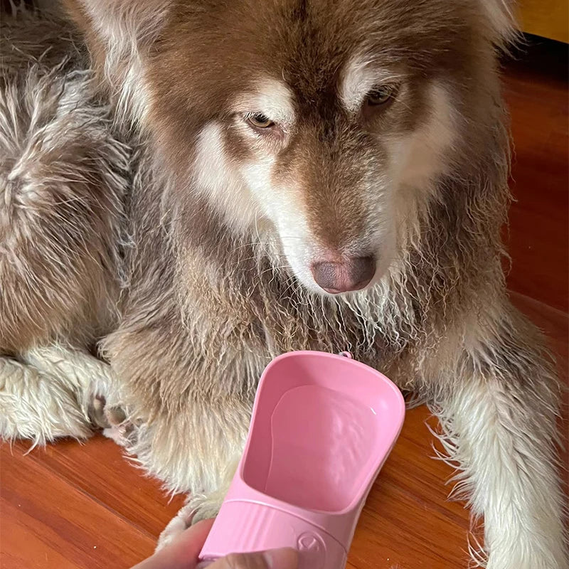 Borraccia Portatile Pawli™ con Contenitore per Crocchette – 2in1 da Viaggio per Cani