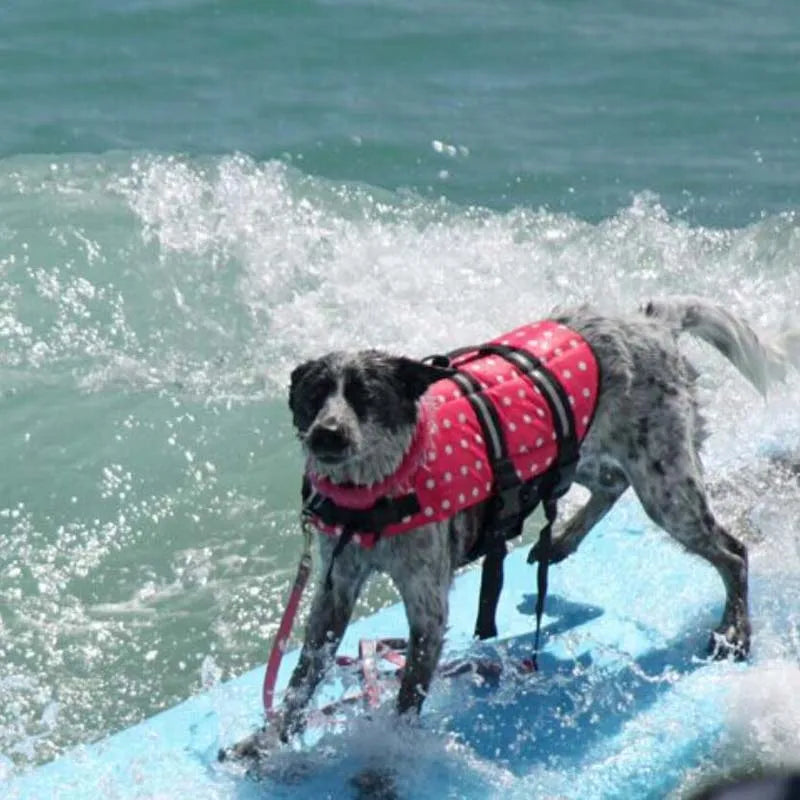 Summer Dog Life Jacket – Giubbotto Salvagente Estivo per Cani