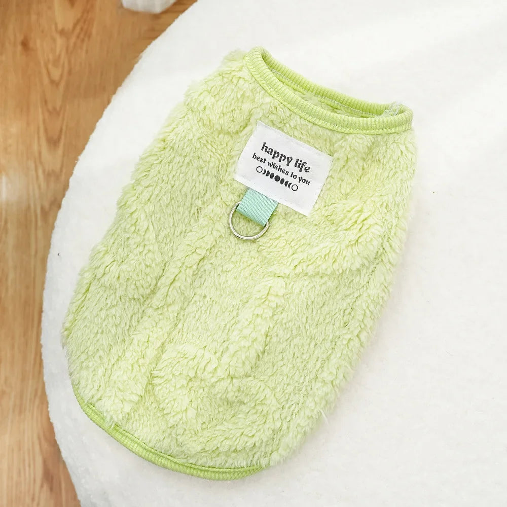 Maglioncino Invernale Pawli™ – Caldo, Morbido e Adorabile per Cani di Piccola Taglia