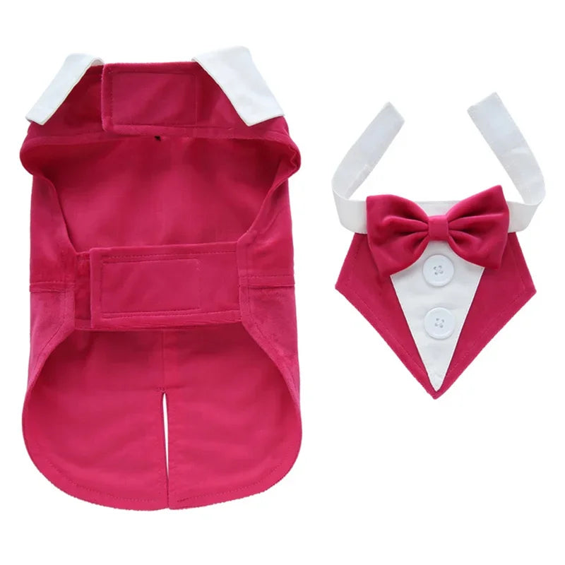 Completo Elegante Pawli™ – Smoking con Papillon per Cani