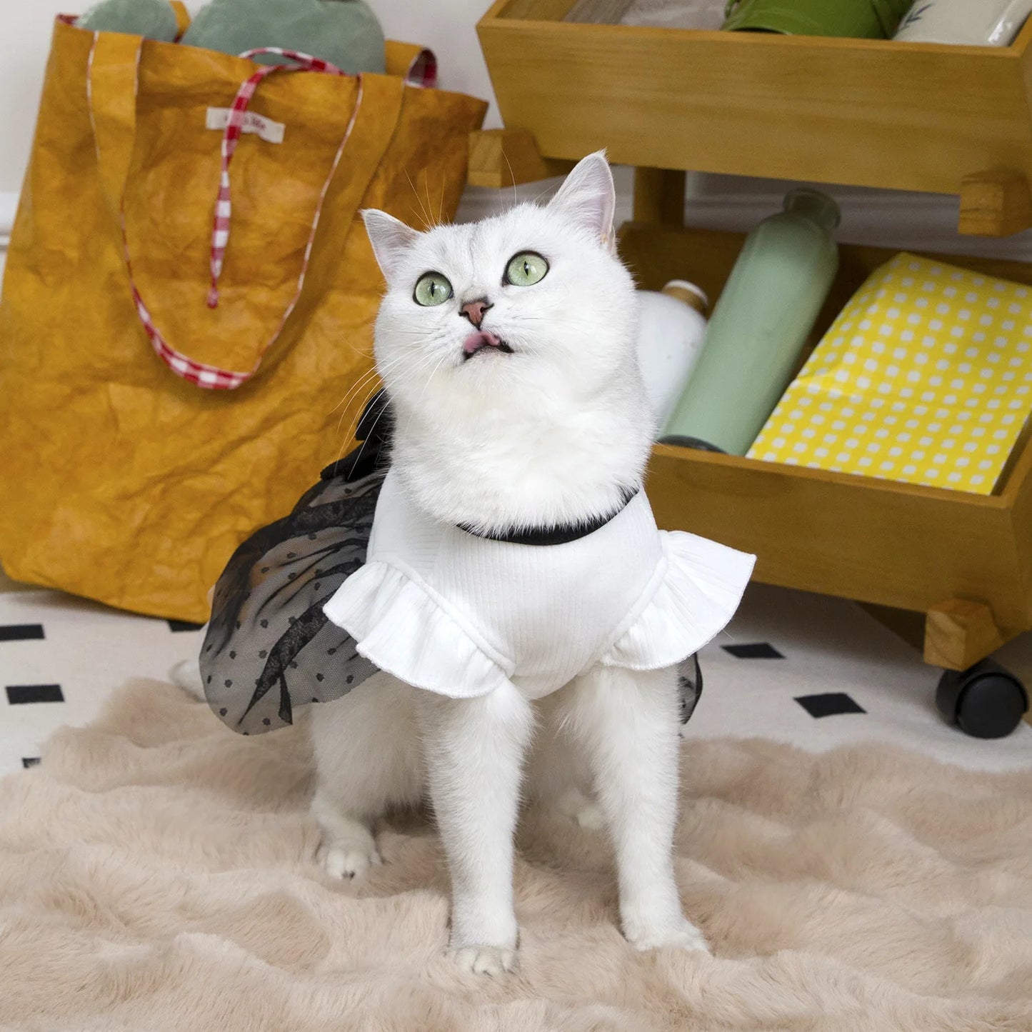 Vestito Elegante per Cani e Gatti – Bianco & Nero con Fiocco