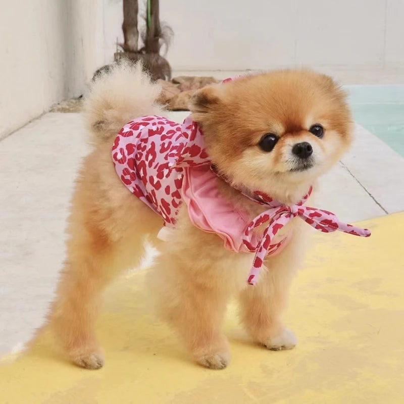 Completo Estivo Pawli™ – Outfit con Cappellino per Cani alla Moda