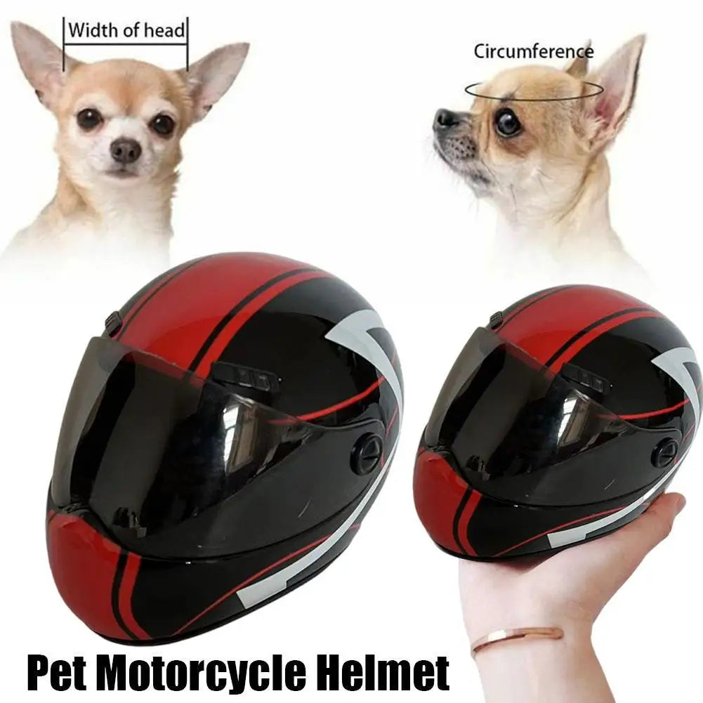 Casco di Sicurezza per Cani e Gatti Pawli™ – Protezione e Stile durante i Viaggi