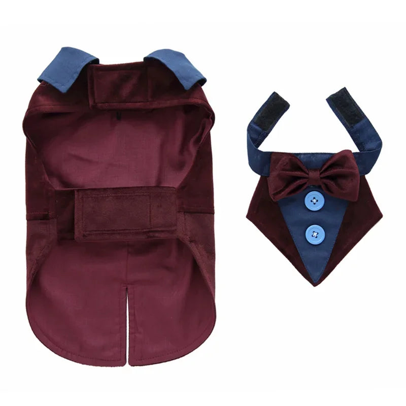 Completo Elegante Pawli™ – Smoking con Papillon per Cani