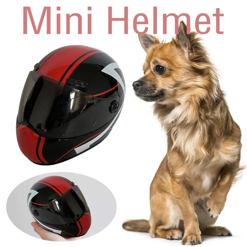 Casco di Sicurezza per Cani e Gatti Pawli™ – Protezione e Stile durante i Viaggi