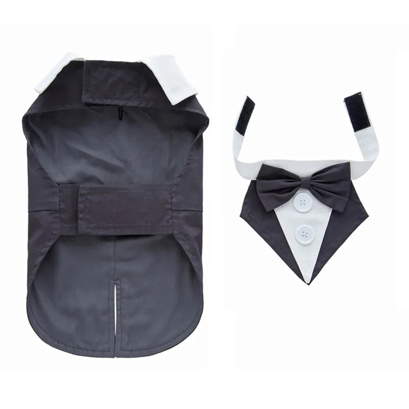Completo Elegante Pawli™ – Smoking con Papillon per Cani