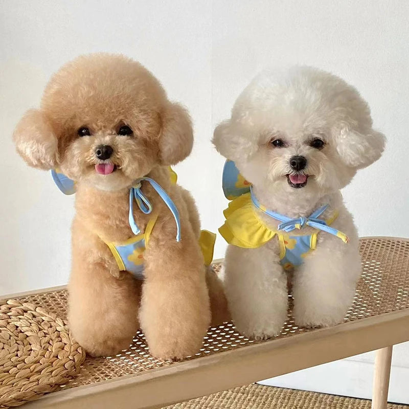 Completo Estivo Pawli™ – Outfit con Cappellino per Cani alla Moda