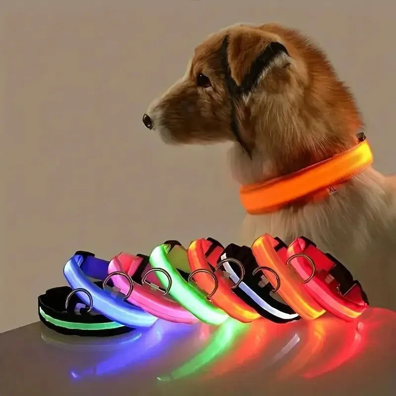 Collare LED Luminoso per Cani – Sicurezza Notturna Ricaricabile