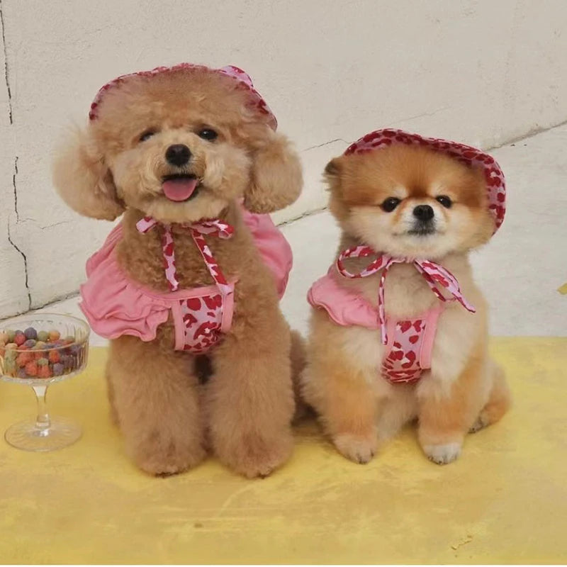 Completo Estivo Pawli™ – Outfit con Cappellino per Cani alla Moda