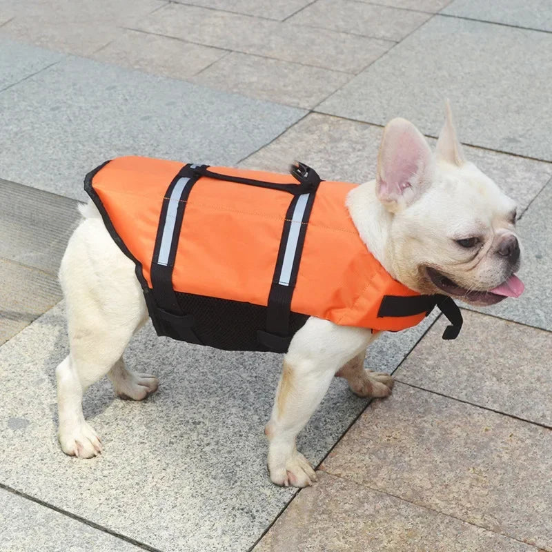 Summer Dog Life Jacket – Giubbotto Salvagente Estivo per Cani