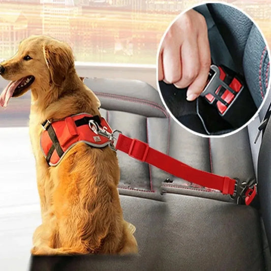 Cintura di Sicurezza Auto Pawli™ – Protezione per Cani e Gatti durante i Viaggi