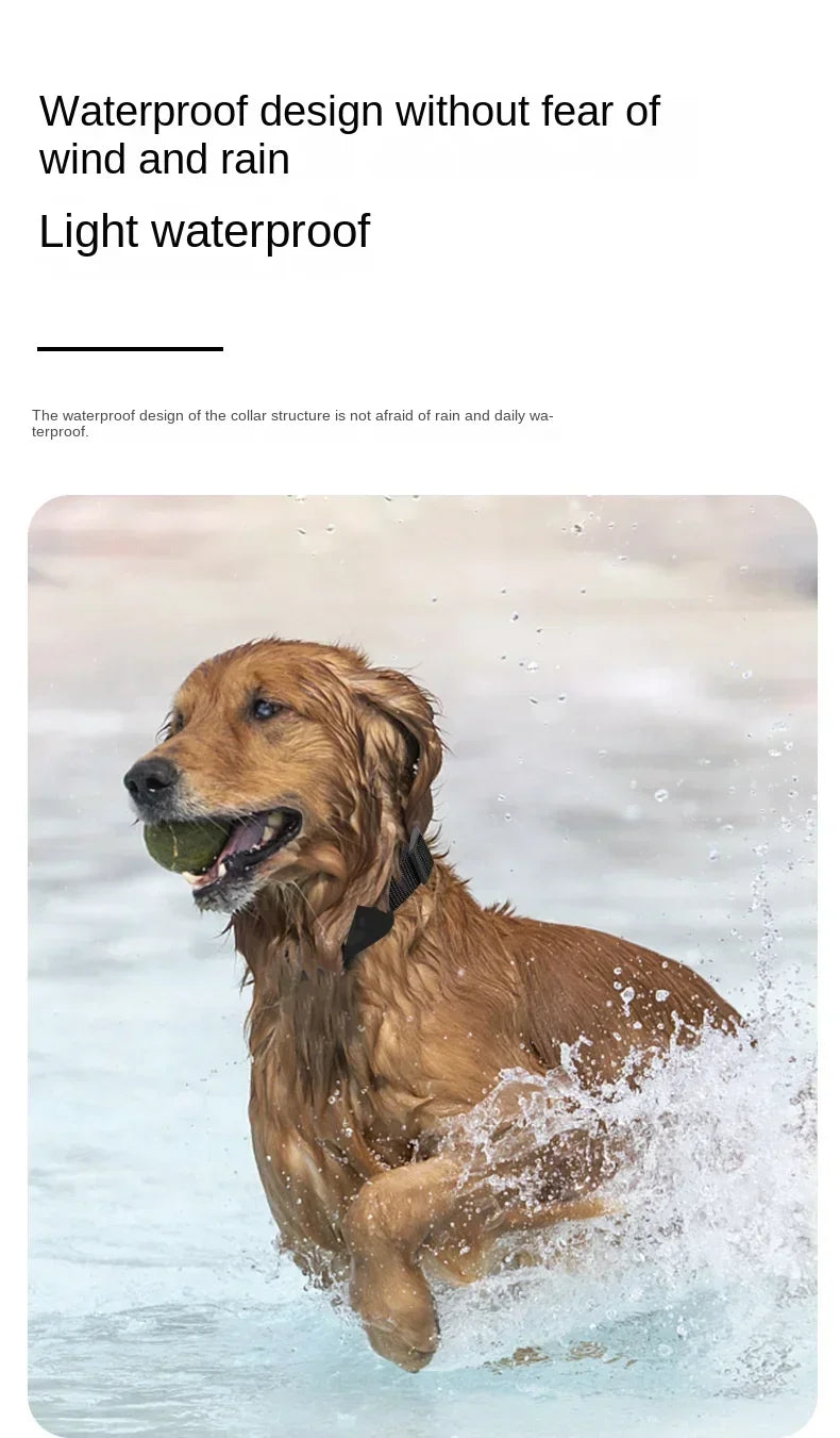 PawGuardian™ – GPS Intelligente Impermeabile per Cani e Gatti