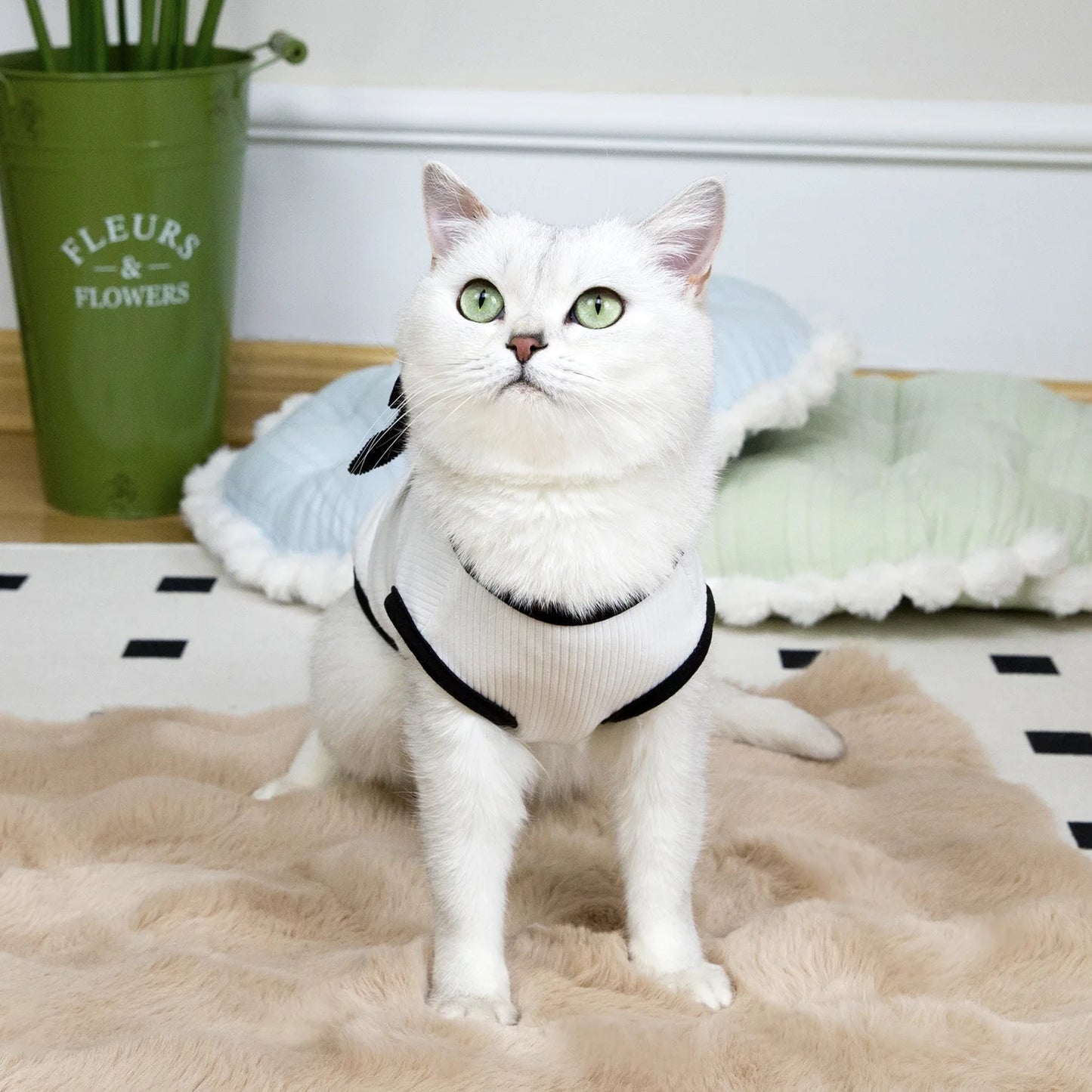 Vestito Elegante per Cani e Gatti – Bianco & Nero con Fiocco