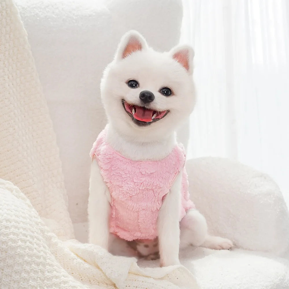 Maglioncino Invernale Pawli™ – Caldo, Morbido e Adorabile per Cani di Piccola Taglia